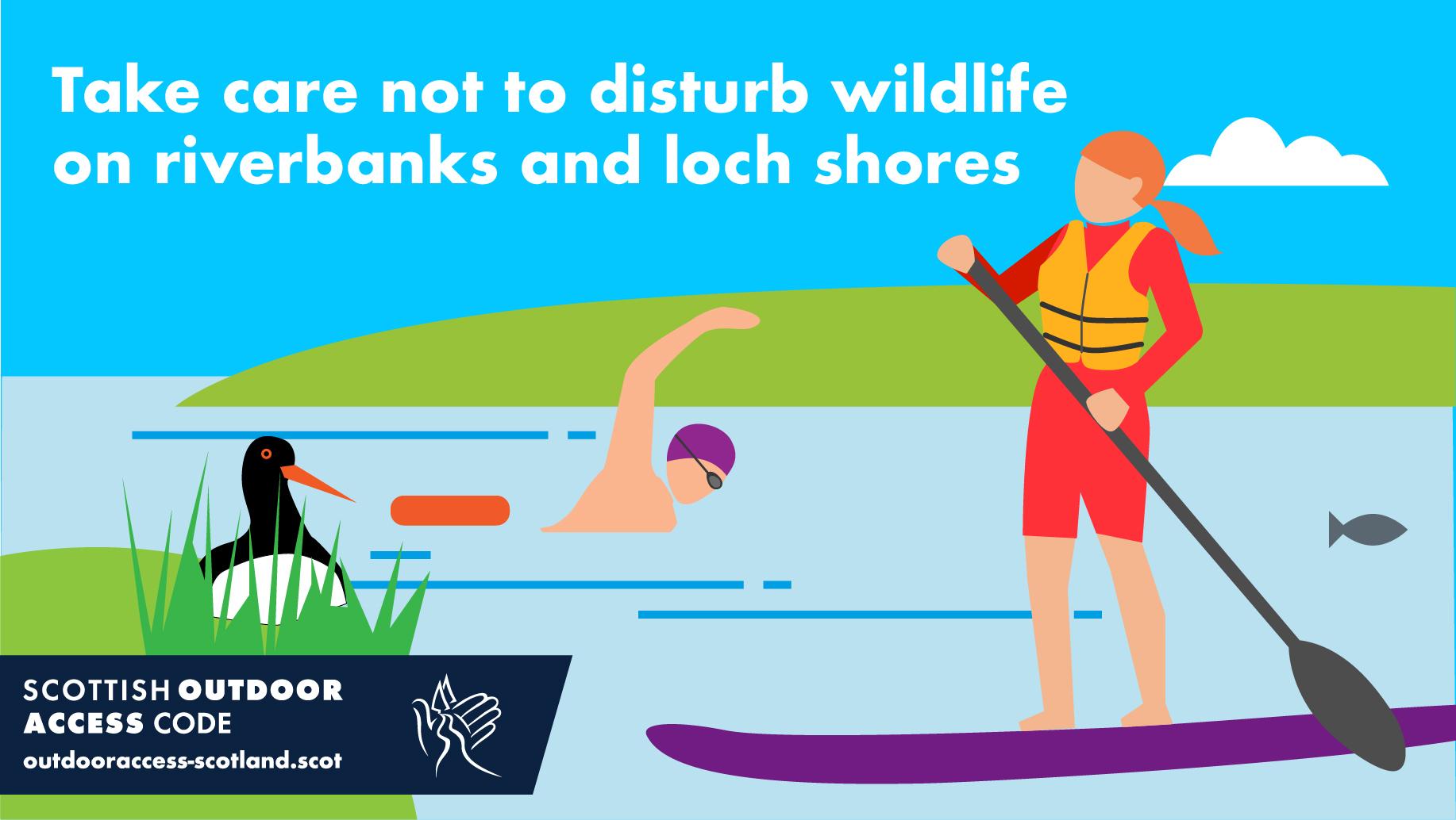 Take care not to disturb wildlife on riverbanks and shores. Know the Code. Image of swimmer, paddleboarder and ground nesting bird